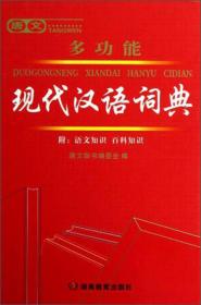 二手正版唐文多功能现代汉语词典 唐文辞书编委会 湖南教育出版社