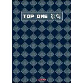 TOP ONE景观