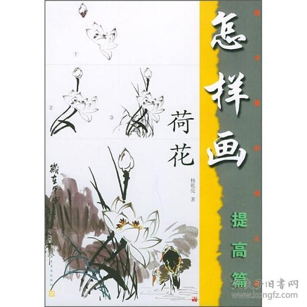 美术爱好者之友：怎样画荷花（提高篇）