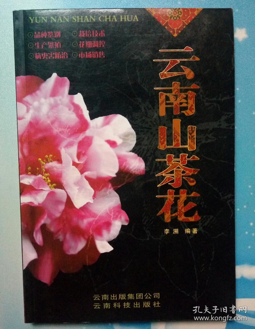 云南山茶花