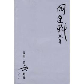 阎连科文集       全12册   现存11册，缺《最后一名女知青》，    《 金莲，你好》《寂寞之舞》《生死晶黄》《情感狱》《坚硬如水》《黑猪毛白猪毛》《感谢祈祷》《乡村死亡报告》《受活》《日光流年》《艺妓芙蓉 》       共11册合售         均为一版一印          库存书      内页无写划                详情阅图           介意者慎拍