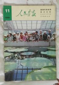 《人民画报》1981年第11期