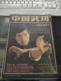 中国武功 功夫片丛刊2