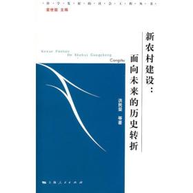 新农村建设：                  面向未来的历史转折              (科学发展的社会工程丛书)