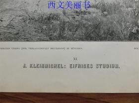 【现货 包邮】1887年木刻木刻版画《研究》 （EIFRIGES STUDIUM）  尺寸约41*29厘米（货号 18031）