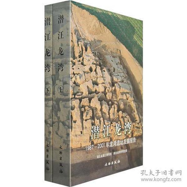 潜江龙湾：1987-2001年龙湾遗址发掘报告（套装全2册）