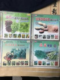 农业科技VCD 大棚蔬菜 特种蔬菜 黄瓜 西红柿 花生等每片7元