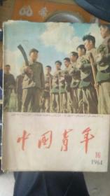 中国青年1964(16期)