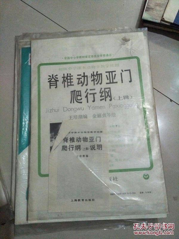 初级中学课本动物学教学挂图 脊椎动物亚门爬行纲上揖 本辑7幅