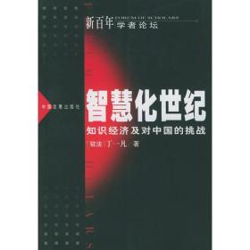 智慧化世纪：知识经济及对中国的挑战