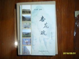杏花魂—仇池古今丛书之二