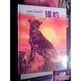 动物百科图鉴(猎豹、非洲象、大猩猩、黑猩猩四本)