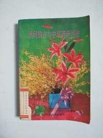 民间偏方与中草药新用途