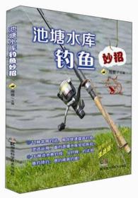 池塘水库钓鱼妙招海音湖南科技出版社