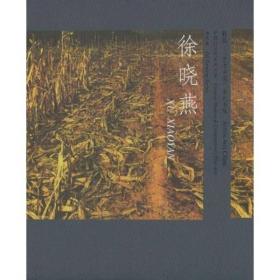 中国当代美术系列。油画卷。徐晓燕