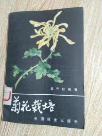 菊花栽培