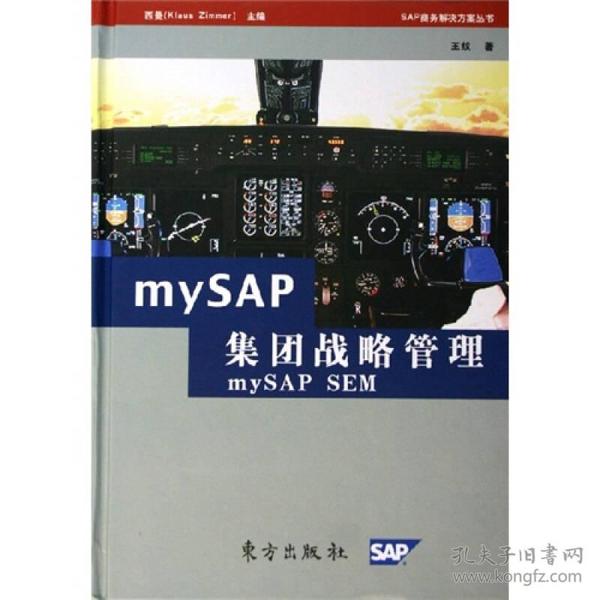 mySAP集团战略管理