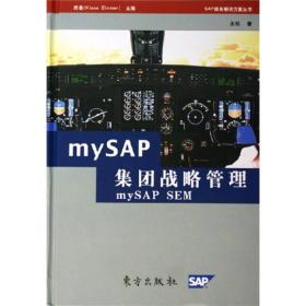 mySAP集团战略管理