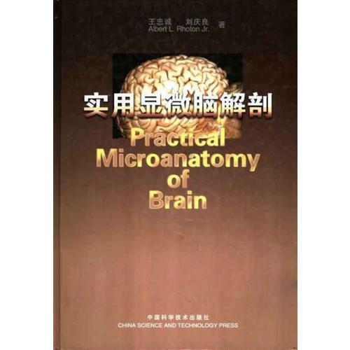 实用显微脑解剖