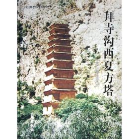 拜寺沟西夏方塔