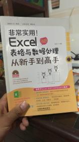 非常实用！Excel 表格与数据处理从新手到高手（全彩图解视频版）光盘1张