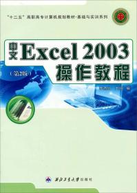 中文Excel 2003操作教程