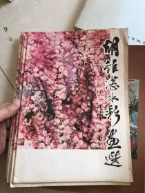 胡锯湛水彩画选