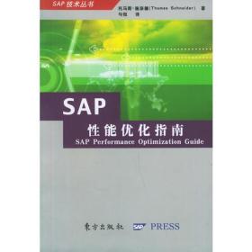 SAP 性能优化指南