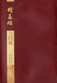 碑帖导临：赵孟頫三门记 放大版
