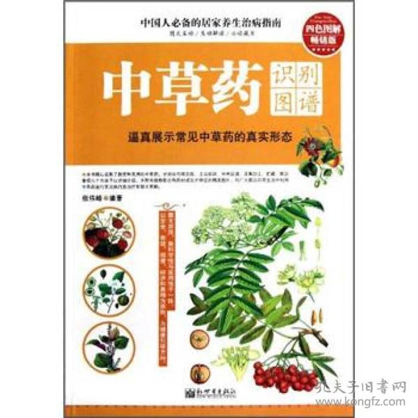 中草药识别图鉴ISBN9787510430404/出版社：新世界