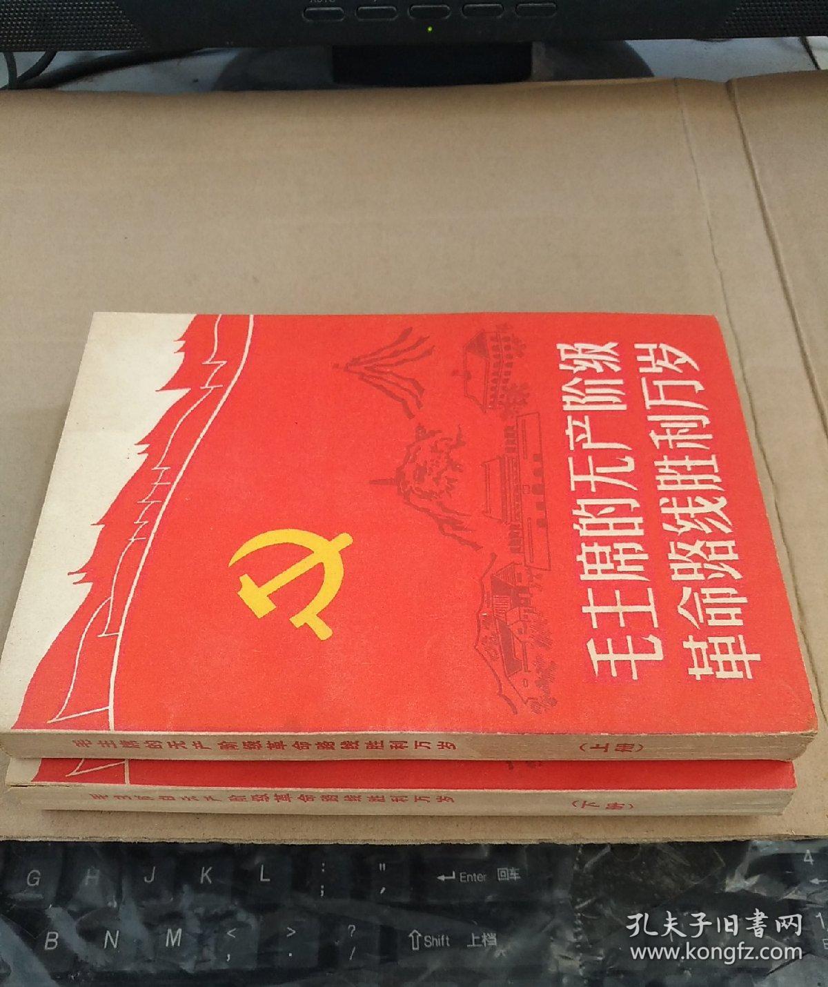 毛主席的无产阶级革命路线胜利万岁（上 下册）