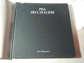PISA DEI CAVALIERI;PISA DEI CAVLIERI