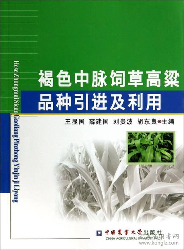 褐色中脉饲草高粱品种引进及利用