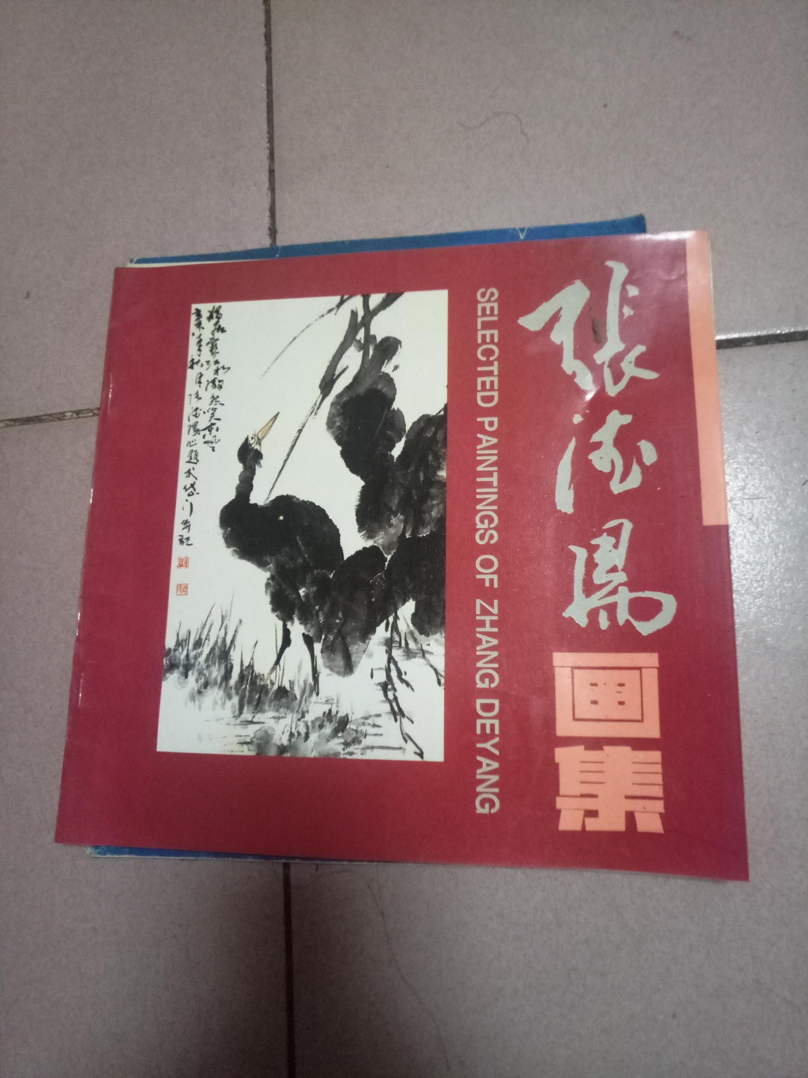 张德阳画集【1994年一版一印·12开本】101