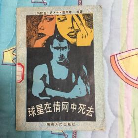 球星在情网中死去：南美洲现代中篇小说选集