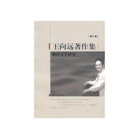 王向远著作集  第八卷