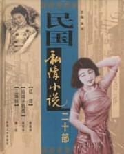 民国私情小说二十部（全10册）