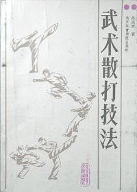 武术散打技法