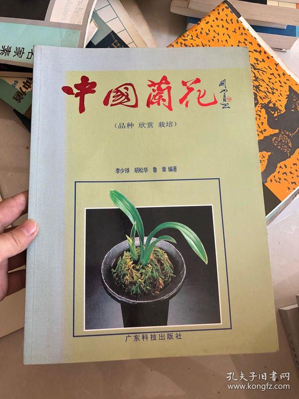 中国兰花 品种欣赏栽培