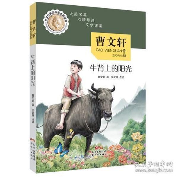 曹文轩名作名篇走进课堂——牛背上的阳光