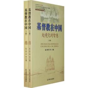 基督教在中国：处境化的智慧（上下册）