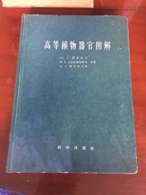 高等植物器官图解（59版一印、9品）