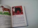 俄文原版：世界宠物狗大全 （556页 每页都有彩色）精装