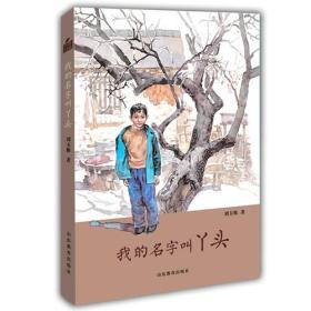 我的名字叫丫头（小荷工作坊原创儿童文学）刘玉栋长篇少年成长小说 精美插画儿童心灵成长培养阅读写作能力 学生课外读物儿童读物