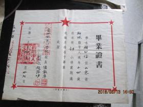 毕业证书1954.1956年  韩曰信 韩岳信  小学校适用  贵州八一学校  贵阳市人民政府文教局印   2张合售   品自定   外玻璃架塑料袋