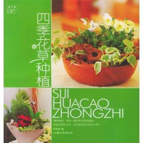 四季花草种植