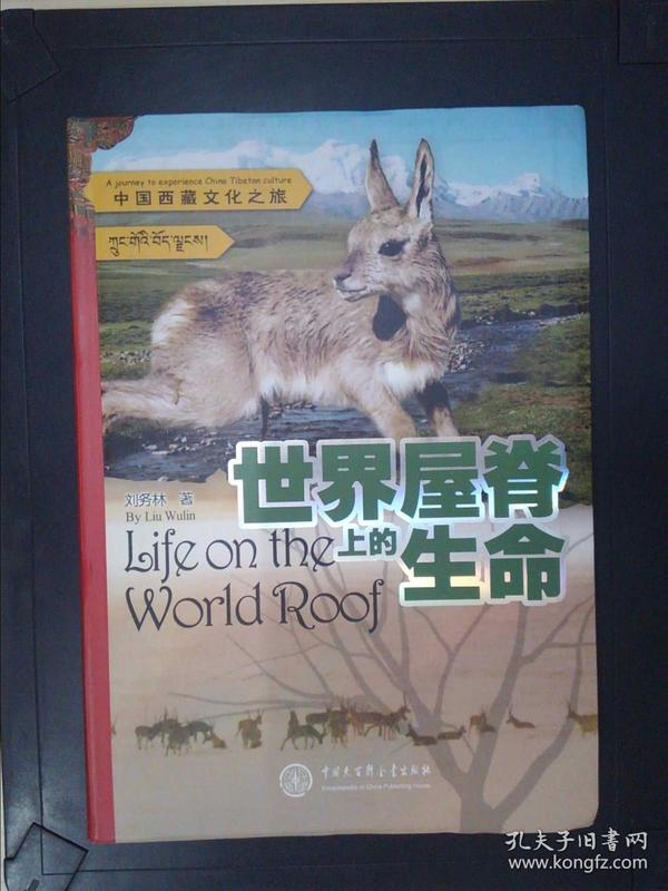 中国西藏文化之旅：世界屋脊上的生命