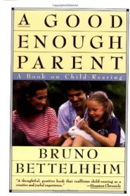 Good Enough Parent: A Book on Child Bearing