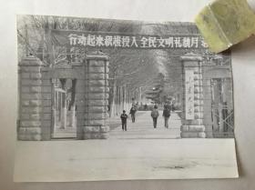 老照片：山东大学八十年代校门