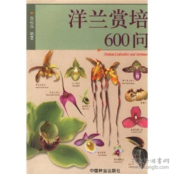 洋兰赏培600问